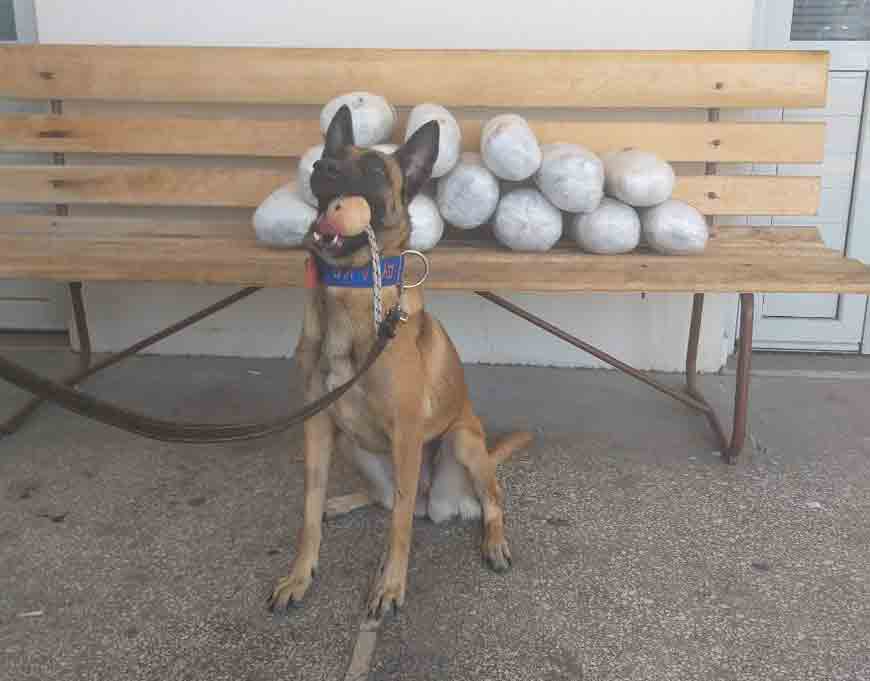 15 κιλά χασίς εντόπισε η «Αύρα»