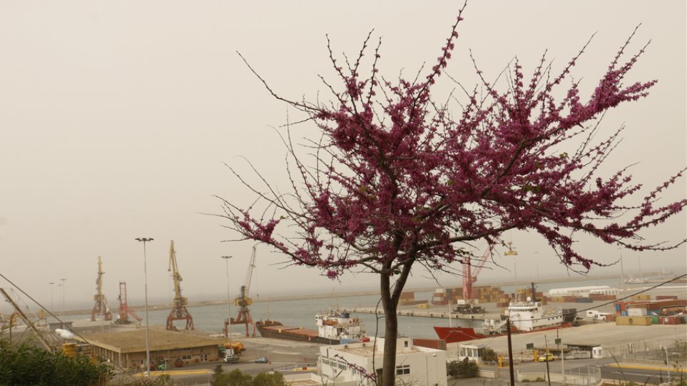 Βροχές, σκόνη και υψηλές θερμοκρασίες το σαββατοκύριακο