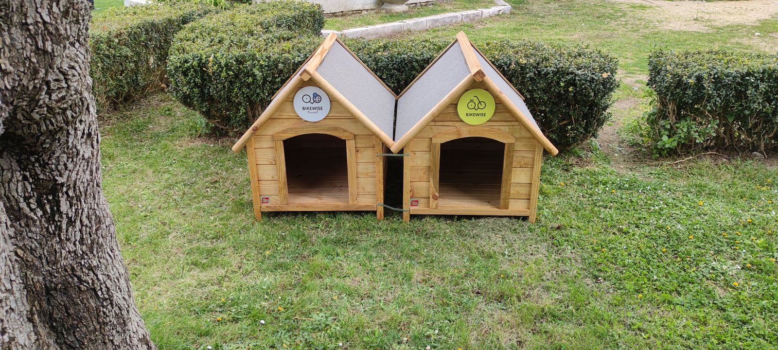 Δώδεκα σπιτάκια για τα αδέσποτα της πόλης