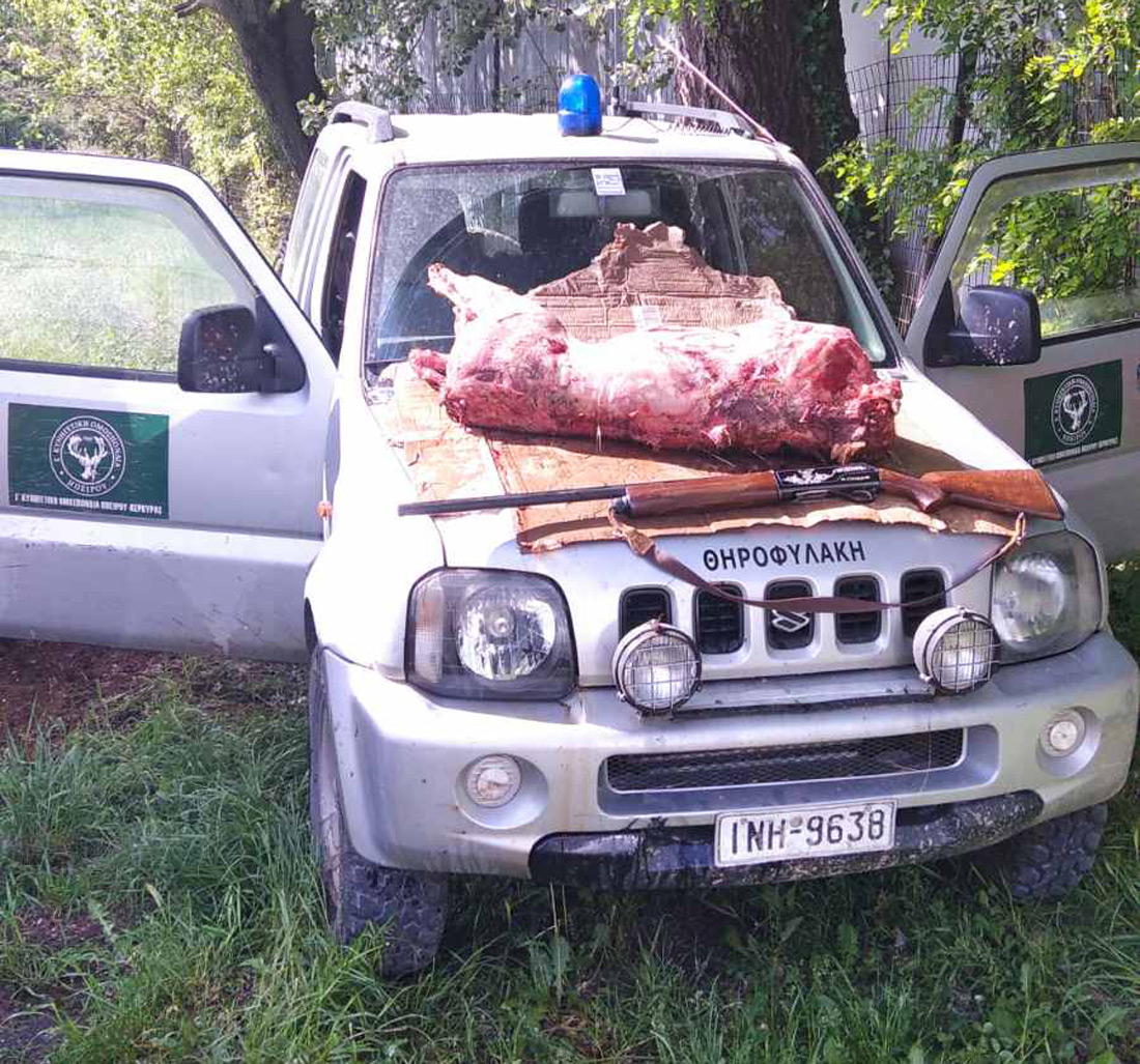 Συνελήφθη λαθροθήρας με παραποιημένο όπλο