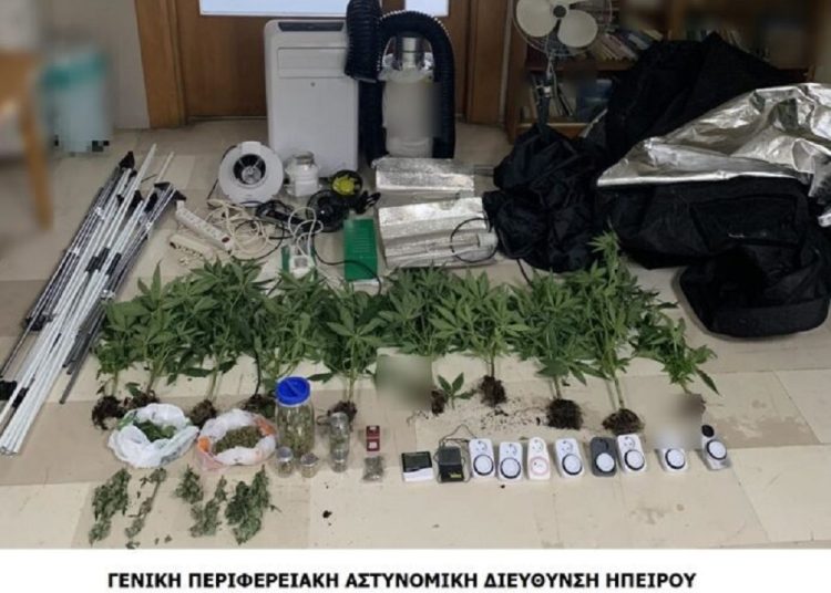Είχε ολόκληρη καλλιέργεια χασίς στο σπίτι του
