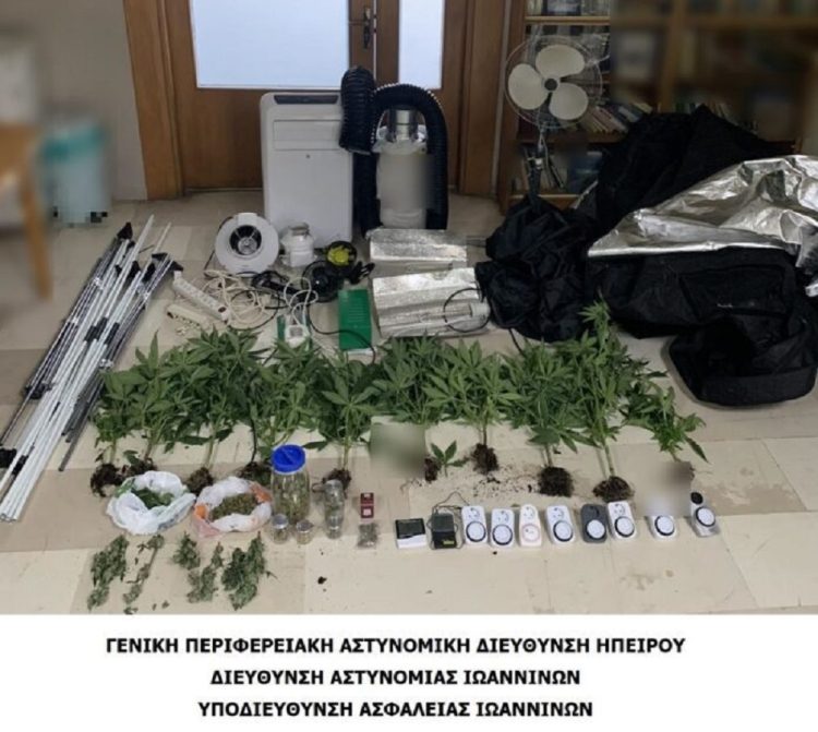Είχε ολόκληρη καλλιέργεια χασίς στο σπίτι του