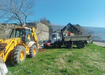 Οκτώ νέα δέντρα στο Παραλίμνιο