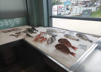 ΑΥΞΗΜΕΝΗ Η ΚΙΝΗΣΗ ΣΤΑ ΙΧΘΥΟΠΩΛΕΙΑ -Ακριβότερα τα θαλασσινά 