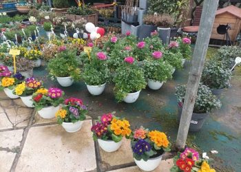 Άνοιξη με πολλές κηπευτικές εργασίες