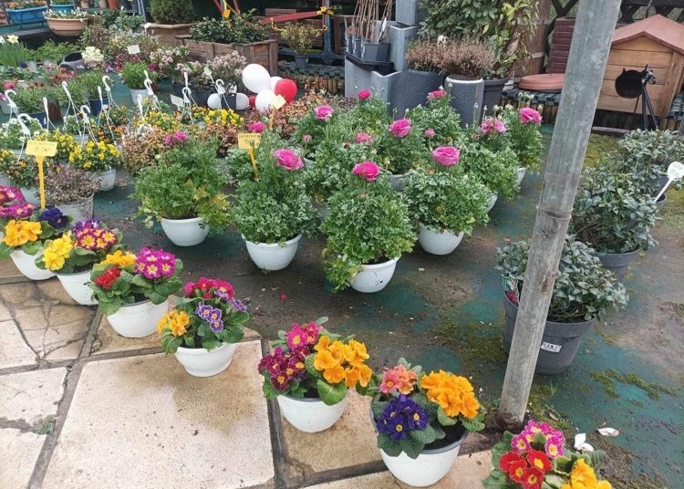 Άνοιξη με πολλές κηπευτικές εργασίες