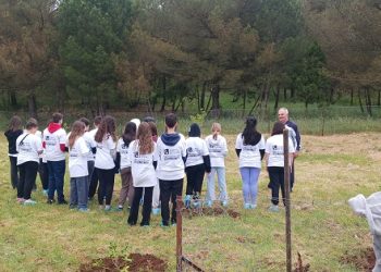 Δενδροφύτευση στον Δήμο Ζίτσας για τη Διεθνή «Ημέρα Γης»