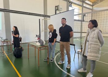 Ζητούμενο η διαχείριση των αδέσποτων ζώων