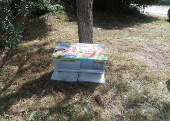 Ταΐστρες και ποτίστρες για τα αδέσποτα