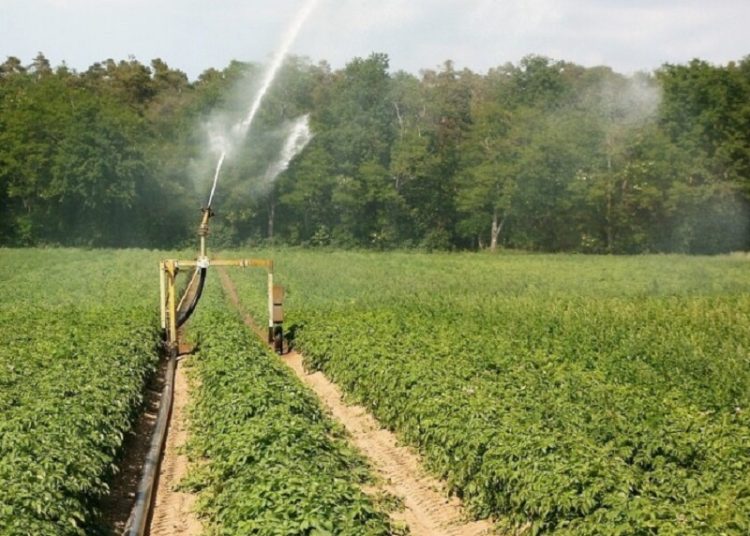 ΣΕ ΑΧΕΡΟΝΤΑ ΚΕΡΑΣΩΝΑ-ΠΑΝΑΓΙΑ -Νέα έργα αγροτικών υποδομών