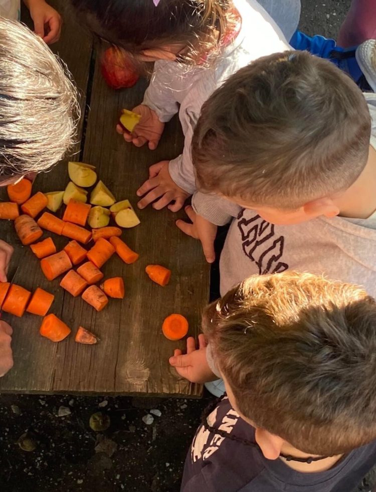 Στο Κέντρο Θεραπευτικής Ιππασίας ο Ε’ Βρεφονηπιακός Σταθμός Κιάφας