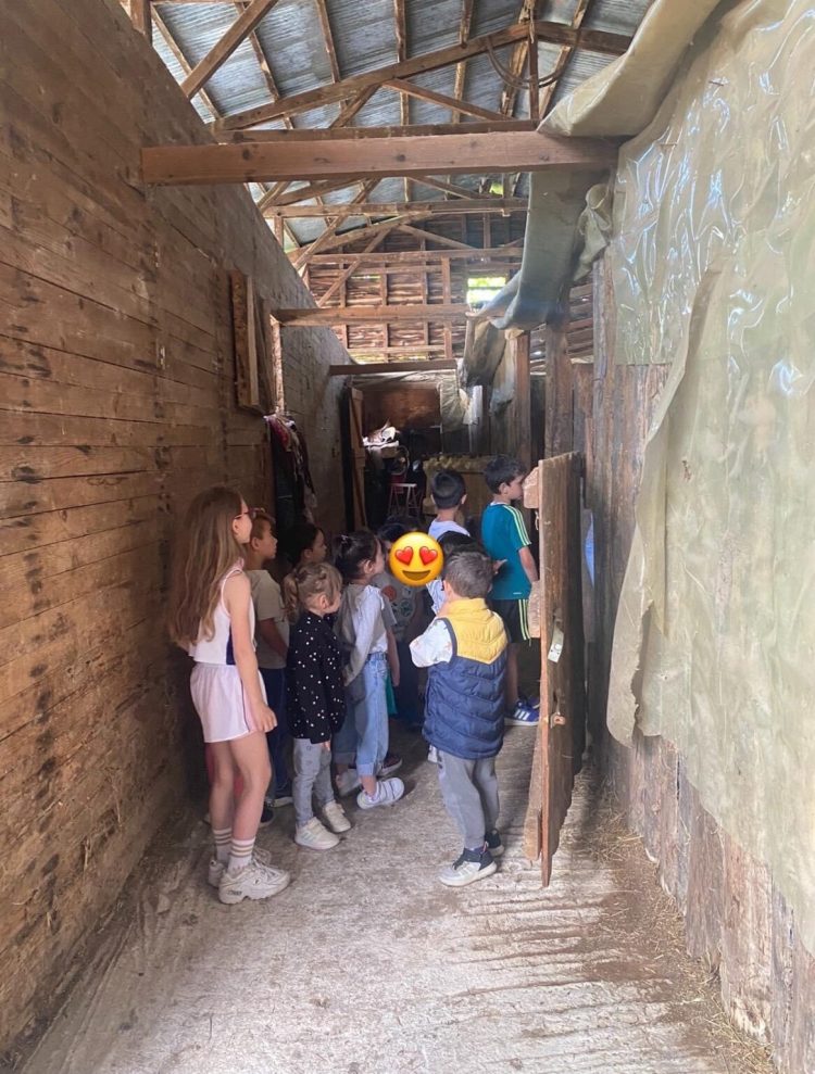 Στο Κέντρο Θεραπευτικής Ιππασίας ο Ε’ Βρεφονηπιακός Σταθμός Κιάφας