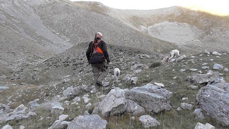 Πρόστιμα για εκγύμναση σκύλων σε Ζαγόρι και Δωδώνη
