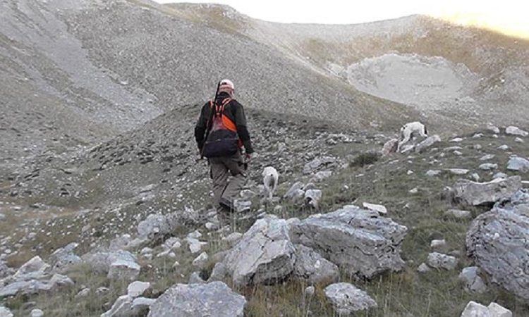 Πρόστιμα για εκγύμναση σκύλων σε Ζαγόρι και Δωδώνη
