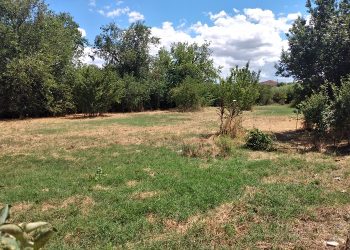 Ανταποκρίθηκαν οι πολίτες στον καθαρισμό των οικοπέδων