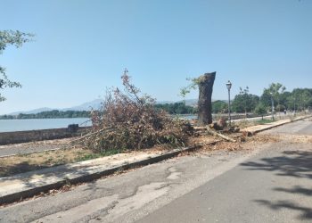 Αυτοσχέδια όπλα και αλκοολούχα ποτά στις φυλακές