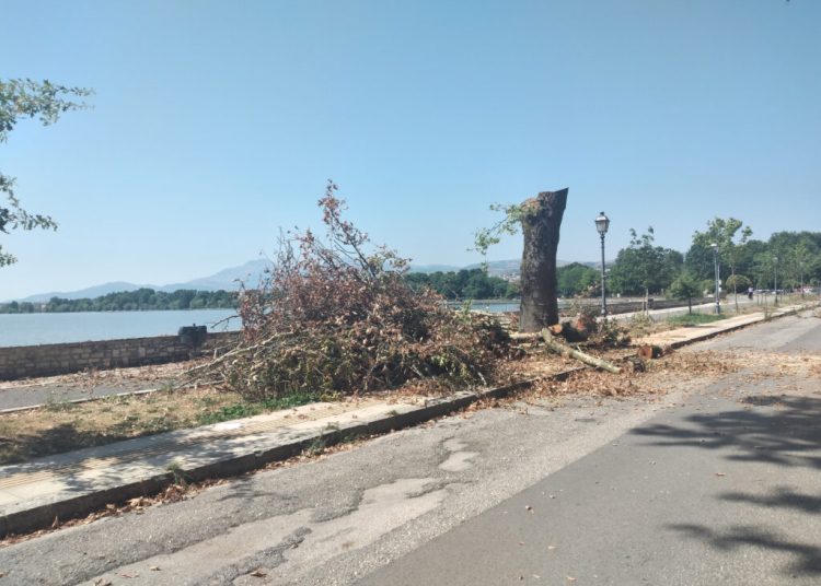 Αυτοσχέδια όπλα και αλκοολούχα ποτά στις φυλακές