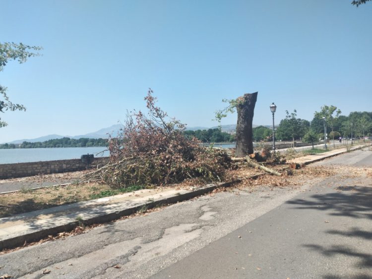 Αυτοσχέδια όπλα και αλκοολούχα ποτά στις φυλακές