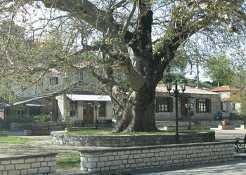 Στον αστερισμό πλούσιων εκδηλώσεων οι Ασπράγγελοι