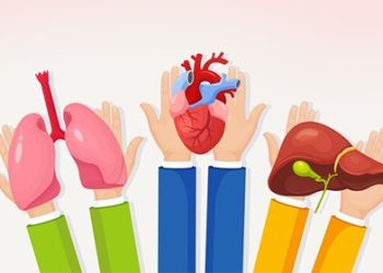 Ανοδική τροχιά στις δωρεές οργάνων