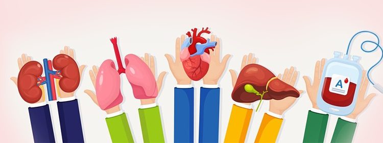 Ανοδική τροχιά στις δωρεές οργάνων