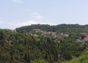 Ο πρώιμος τρύγος αναμένεται να έχει θετικά αποτελέσματα