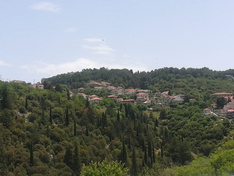 Ο πρώιμος τρύγος αναμένεται να έχει θετικά αποτελέσματα