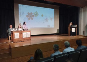 Ελλείψεις προσβασιμότητας σε υπηρεσίες και καταστήματα