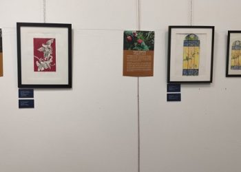 ΕΚΘΕΣΗ ΧΑΡΑΚΤΙΚΗΣ -Δώδεκα ξεχωριστά λουλούδια στο Ζαγόρι