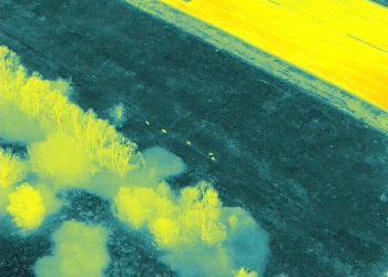 Απομακρύνθηκαν τα αγριογούρουνα από το αεροδρόμιο Ιωαννίνων