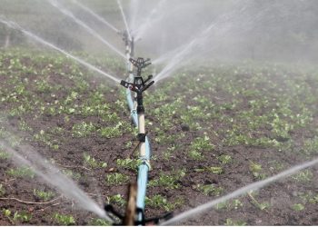 Σύγχρονο αρδευτικό έργο στον κάμπο του Μέσου Ρου Καλαμά