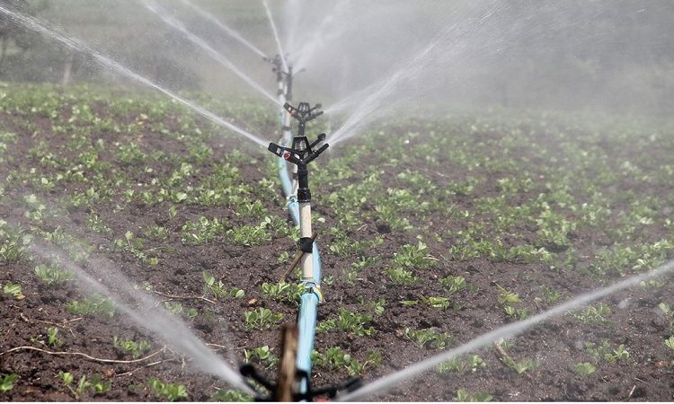 Σύγχρονο αρδευτικό έργο στον κάμπο του Μέσου Ρου Καλαμά