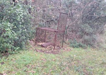 Ε’ ΚΟΗ -Διοικητικά πρόστιμα σε παραβάτες για παράνομη θήρα και παγίδες