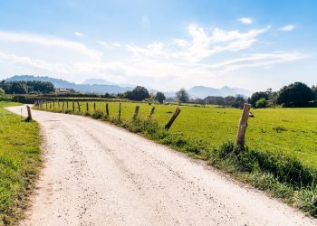 ΑΓΡΟΤΙΚΗ ΟΔΟΠΟΙΙΑ -Στα 575 εκατ. ευρώ ανέρχονται οι αιτήσεις