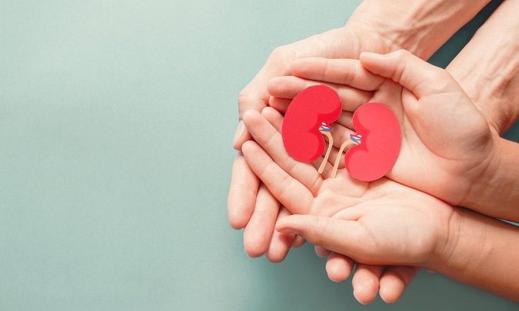 Δωρεά οργάνων: Έχουμε ακόμη πολύ δρόμο να διανύσουμε