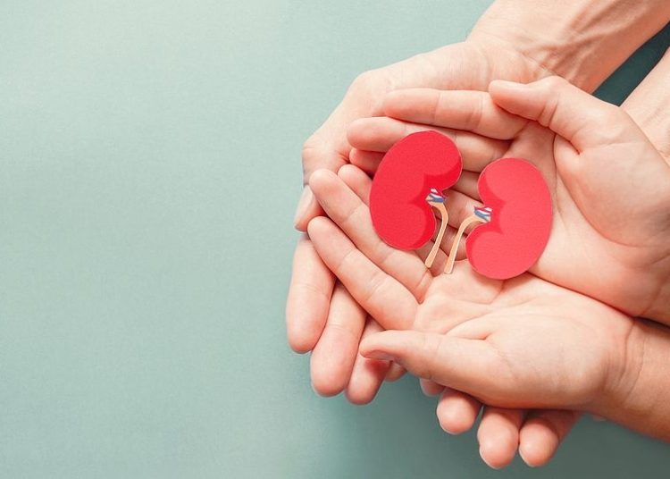 Δωρεά οργάνων: Έχουμε ακόμη πολύ δρόμο να διανύσουμε