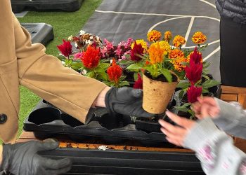 ΙΩΑΝΝΙΝΑ -Τα σχολεία έστειλαν ηχηρό μήνυμα για την ανακύκλωση!