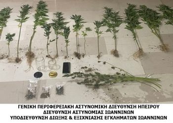 Καλλιεργούσε 19 δενδρύλλια κάνναβης στα Ιωάννινα