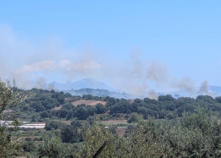 Φωτιά στο Μονολίθι Πρέβεζας