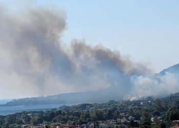 Πυρκαγιές στην Πρέβεζα: Πύρινος εφιάλτης με πολλαπλά μέτωπα