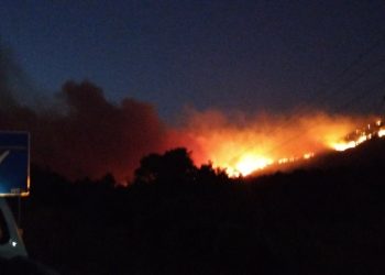 Στη Βουλή τα προβλήματα από τις φωτιές