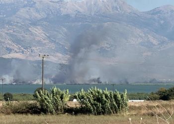 Σε εξέλιξη πυρκαγιά στην περιοχή της Παλαίρου