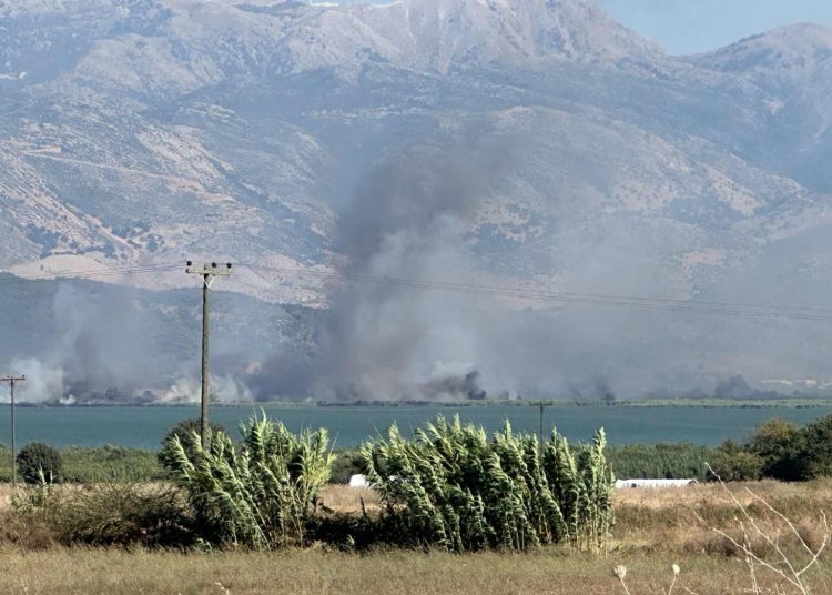 Σε εξέλιξη πυρκαγιά στην περιοχή της Παλαίρου