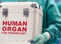 Ρεκόρ μεταμοσχεύσεων από δότες το 2025