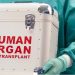 Ρεκόρ μεταμοσχεύσεων από δότες το 2025