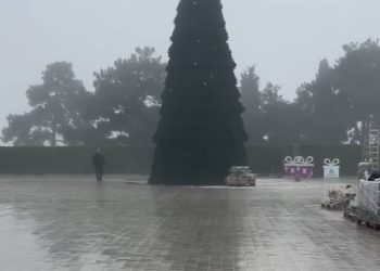 Και δέντρο και πλατεία