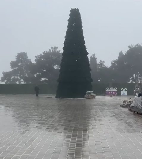 Και δέντρο και πλατεία