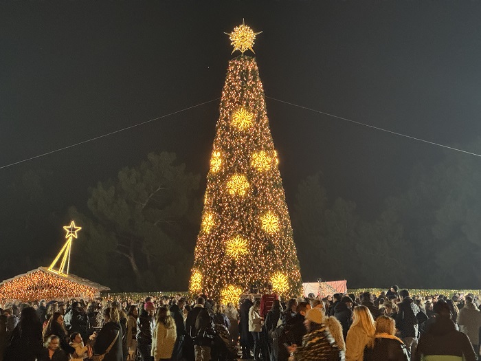 Εκατοντάδες πήγαν να δουν την πλατεία και το δέντρο
