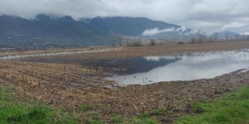 Ο κάμπος της Λαψίστας και τα προβλήματα πάνε πάλι …Αθήνα