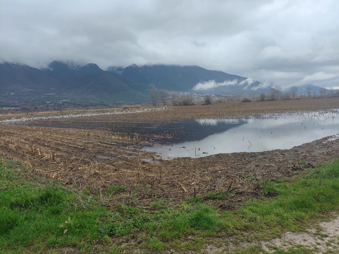 Ο κάμπος της Λαψίστας και τα προβλήματα πάνε πάλι …Αθήνα